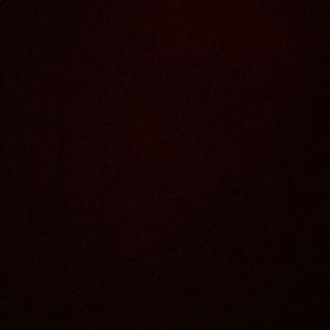 Meet your Posher, Rayleen